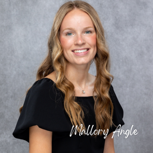 Holli Spaeth Memorial Scholarship, Jack and Cinda Brown Basketball Mental Attitude Scholarship