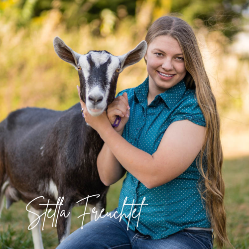 Frank L. and Frances L. Hilburt Scholarship