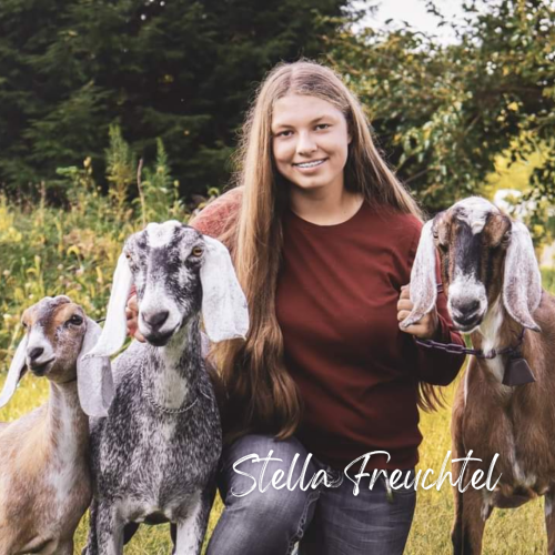 Frank L. and Frances L. Hilburt Scholarship