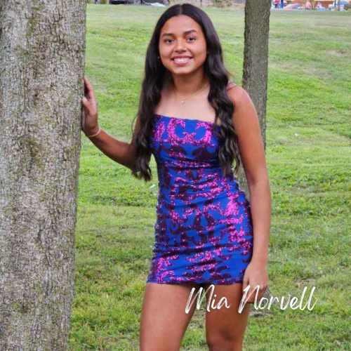 Holli Spaeth Memorial Scholarship