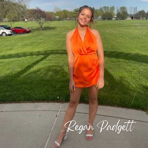 Frank L. and Frances L. Hilburt Scholarship